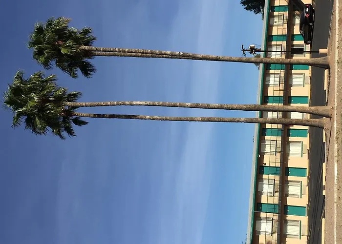 Amazon Motel 2*