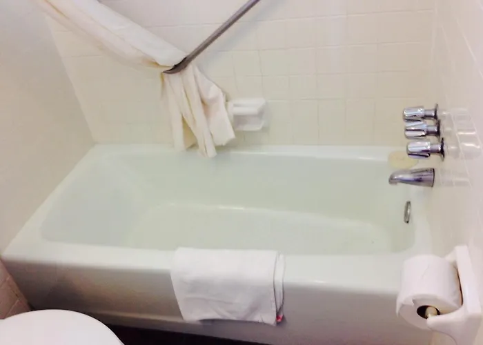 Motel Amazon 2*